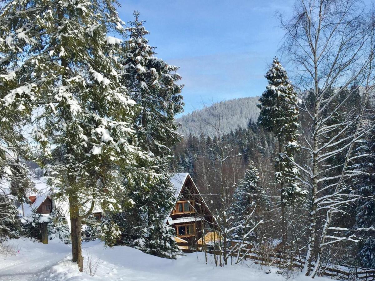 Winterfell Korbielów - dom z basenem sezonowym Exterior foto