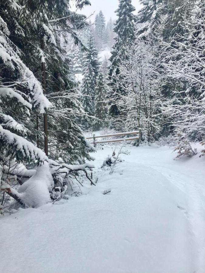 Winterfell Korbielów - dom z basenem sezonowym Exterior foto